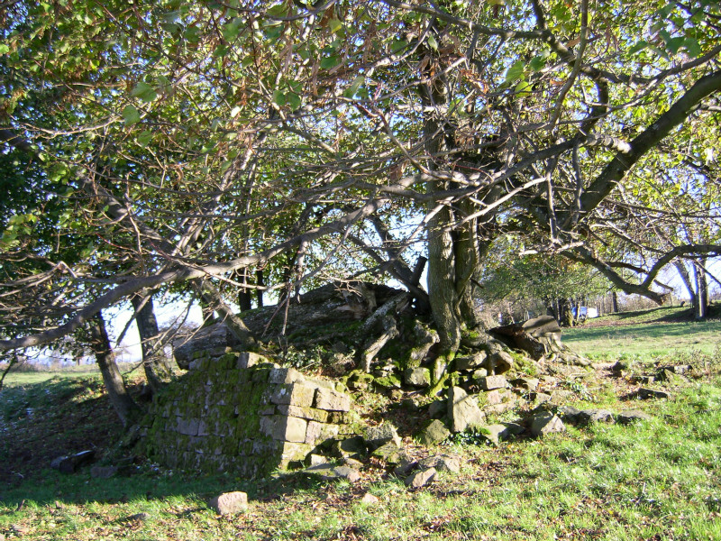 Baureste vom Jagdschloss