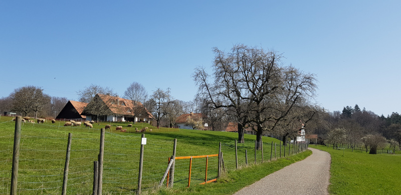 Links Ochsen- heute Borho-Hof